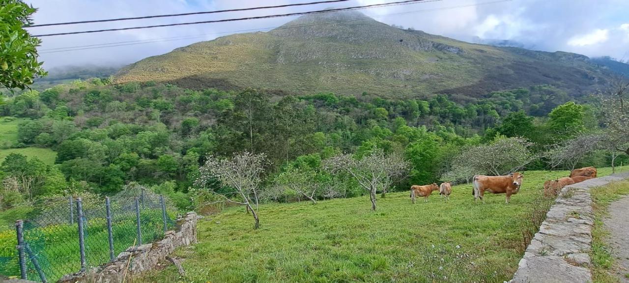 Llanes-Llumedian Villa Kültér fotó